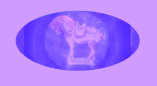 outasite!!_collectibles_recently_sold_antiques_vintage_collectibles_main001047.jpg