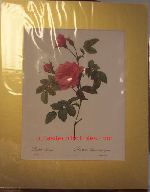 outasite!!_collectibles_vintage_lithograph_redoute_rose_prints_k_g_lohse_germany001008.jpg
