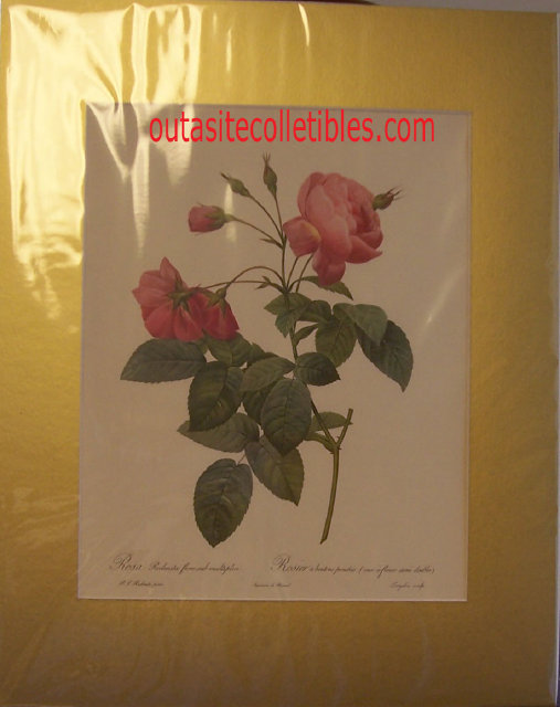 outasite!!_collectibles_vintage_lithograph_redoute_rose_prints_k_g_lohse_germany001009.jpg